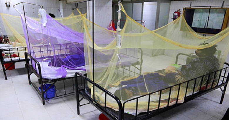 ডেঙ্গুতে আরও ৩ জনের মৃত্যু, হাসপাতালে ভর্তি ৫৯৩